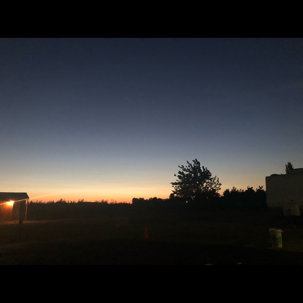 Meet your Posher, Kali